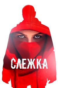  Слежка 